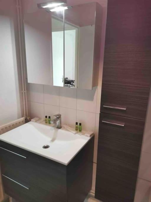 Charmant Appartement Au Calme Bourg-en-Bresse Dış mekan fotoğraf